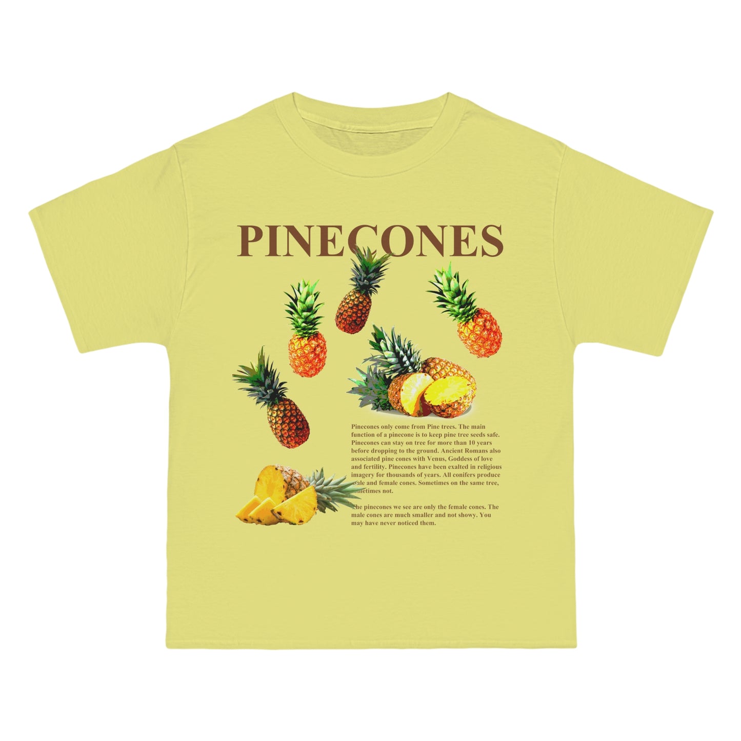 PINECONES